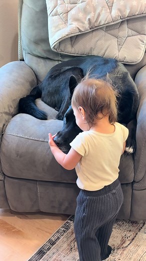 All Dogs Go to Heaven: Comforting Goodbye to Charlie
