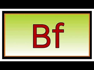 What does Bf mean in English? | English Vocabulary Explained