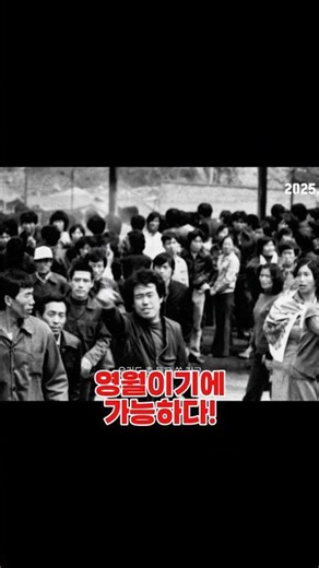 영월은 영화가 공짜! #문화도시영월 #영월문화도시 #영월 #영월시네마 #1980사북