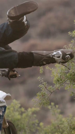 Kicking a tree on a motorcycle