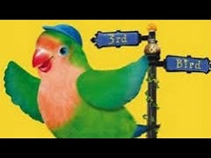 video #339 | 3rd and Bird Review