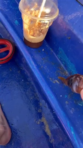 my dad the best fisherman στο TikTok