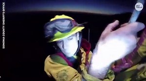 Trapped firefighters rescued by helicopter over wildfires | USA TODAY Video