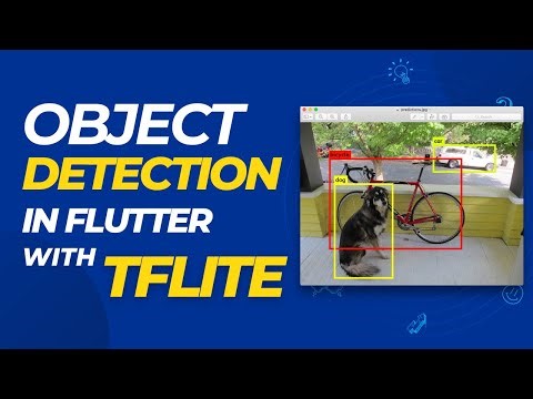 Object detection App in Flutter with TFLite - بالعربي