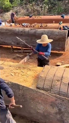Squaring a massive tree log using a traditional broad axe to create flat surfaces for large timber