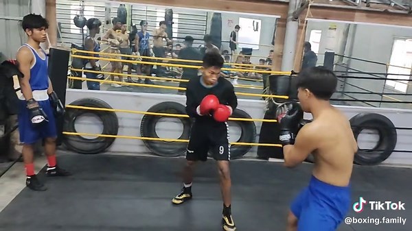 Boxing Family သည် TikTok ပေါ်တွင် ရှိသည်