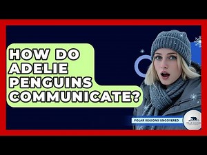 How Do Adelie Penguins Communicate? - Polar Regions Uncovered