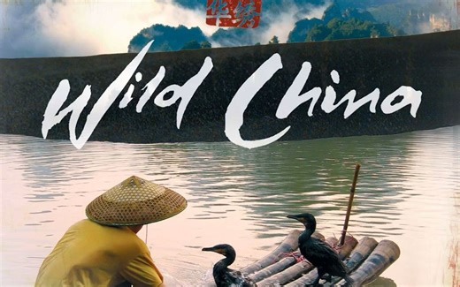 纪录片美丽中国 背景音乐《Mountains》-Barnaby Taylor