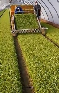 371K views · 1K reactions | My Ricky Funny on Reels | Facebook