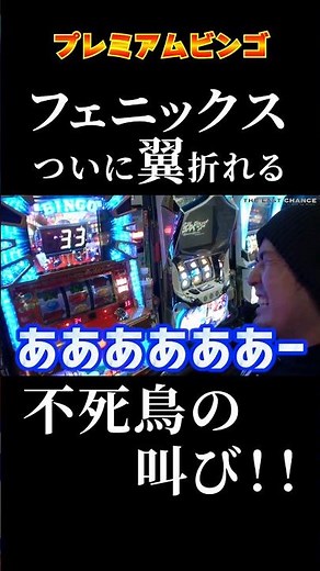 不死鳥まりも！翼も折れ絶叫っっ‼️ #shorts #スロット