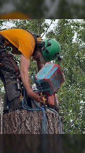 Yapping about treework. #treeworker #arboristlife #treeservice #guiltyoftreeson | Guilty of Treeson