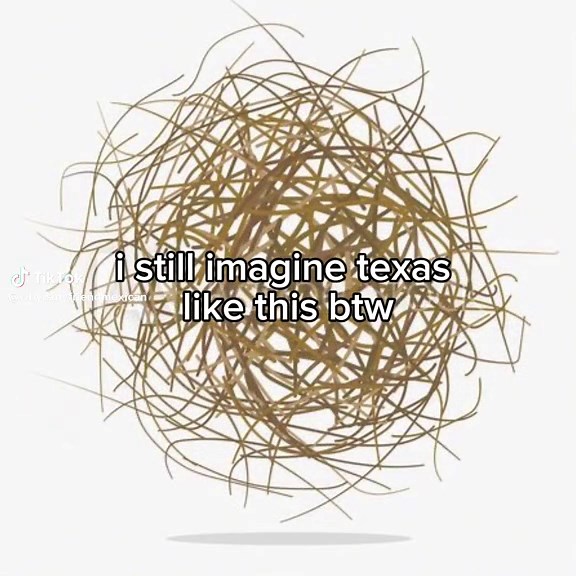 Cowboy Humor: Tumbleweed Tales from Texas
