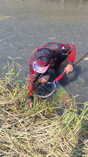 tilapia sa gilid huli sa sipyaw #fishingmethods #just4u