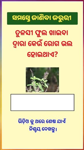 general knowledge in odia/odia gk quiz/gk questions/#shorts #viral #trending #odia
