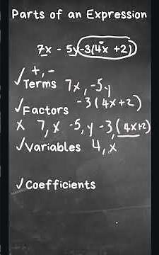 Algebraic Expressions - Identify Terms,Factors,Variable, Coefficients