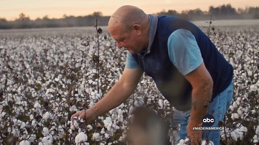 168K views · 7.3K reactions | MADE IN AMERICA: Red Land Cotton in Moulton, Alabama, three generations of one family – creating jobs from the farm, to the factory. David Muir reports. https://abcn.ws/2XvP3JQ | ABC World News Tonight with David Muir | Facebook