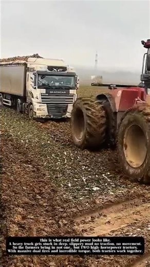 Two Powerful Tractors Pull a Truck Stuck in Deep Mud! #shorts