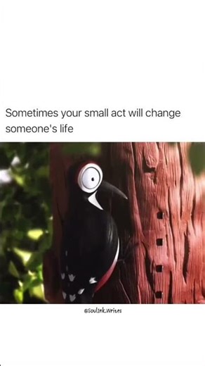 Never Ignore Small Acts..☺️✨. #LifeTruth #MotivationShorts #KindnessWins #PositiveMindset