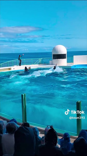 鴨川シーワールドでの生命の輝き