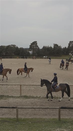 Training Mood at @leprintempsdessportsequestres ! 🙌🏼 #performwithantarès #antarèsrider | Antarès Sellier