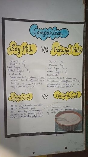 Soyabean milk Investigatory project chemistry class 12th