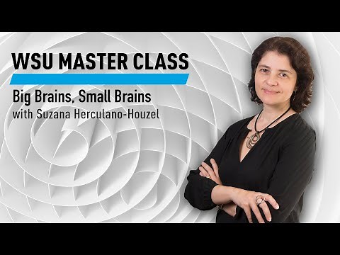 WSU Master Class: Big Brains, Small Brains with Suzana Herculano-Houzel