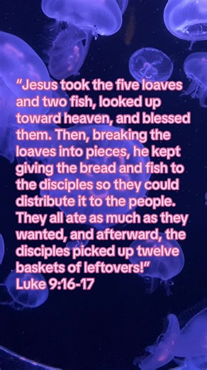We serve a God of multiplication. He has the power to take a little and make it much. Give thanks unto the Lord for He is amazing❤️ #praywithchartia #fyp #christiantiktok #message #blessed