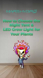 We're here to help you find the perfect tent & grow light for your plants. ✨ | Mars Hydro LED