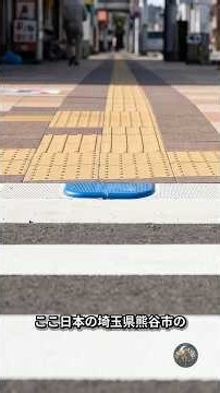 The Hidden Story of the Blue Blocks You Walk Past at Crosswalks