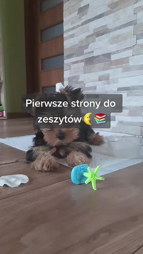 Pierwsze strony do zeszytów, zrobic part 2? 📚📖🍒 #szkoła #pierwszastronazeszytu #dlaciebie