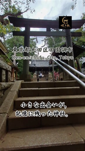 ⛩️ 田園調布八幡神社（東京都大田区） 150社以上巡った中で、小さな出会いが記憶に残った神社でした。 #神社巡り #田園調布八幡神社 #田園調布 #東京神社 #御朱印