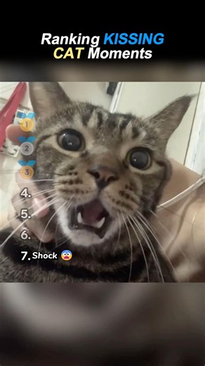 Ranking BEST KISSING CAT Moments!! 😽😂