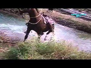 Clip hài tuyển chọn hay nhất từ trước đến nay