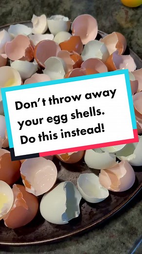 Creative Ways to Use Egg Shells in Your Garden