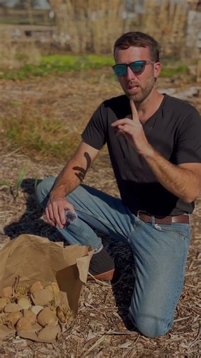 The #1 Survival Crop You’re Not Growing 🥔