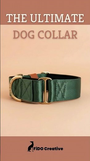 The ultimate martingale dog collar - Fido Creative Australia