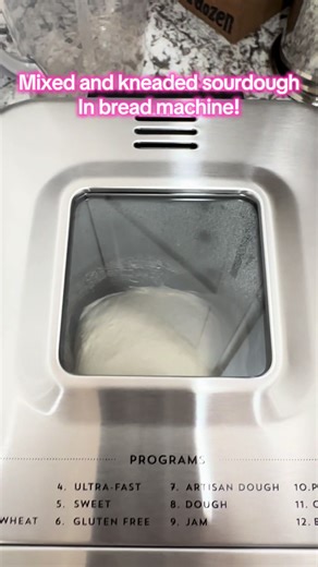 Revolutionary Sourdough Bread Mixing and Kneading