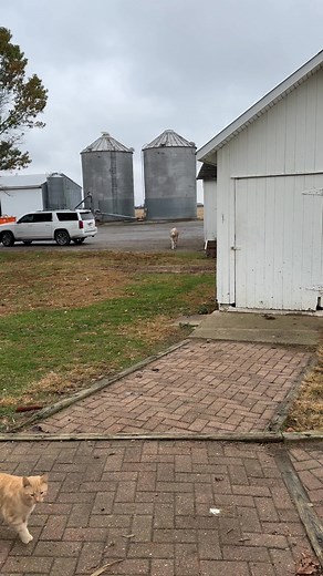 63K views · 1.2K reactions | Bo’s bottle was three hours late this...