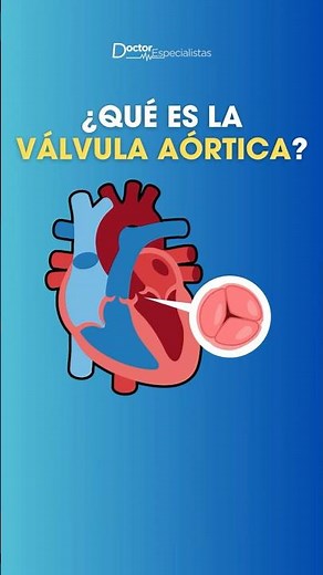 Do you know what the aortic valve is and why it's so important? - Specialist Doctors