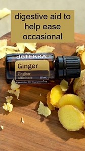 Ginger essential oil benefits and uses