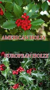 Making Delaware out of American Holly | Official State Tree Map #shorts #trees #wood