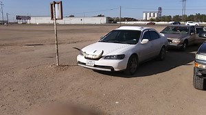 Cow Moo Car Horn #cow #cows #cowmoo #fyp #tiktok #trending #foryoupage #foryou #cars #carhorn #hornsounds #originalsound @boomblastershorns