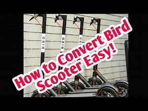 How to convert Bird scooter to a usable scooter full clip