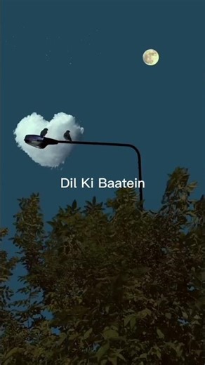 Dil Ki Baatein Dil Hi Jaane ❤️#love