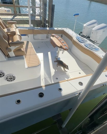 7K views | Freeman Boatworks on Reels | Facebook