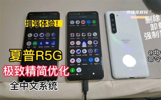 夏普R5G一键极致精简优化 Adb命令包 设置全中文系统 安装第三方辅助软件 增强体验---风骚哥数码刷机教程