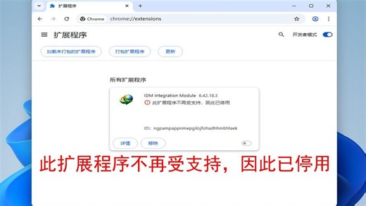 不能打开扩展，不能启用扩展，此扩展程序不再受支持，因此已停用