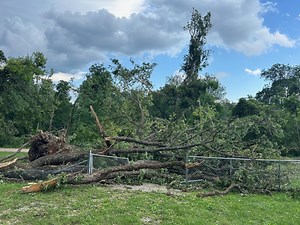 Waste and debris drop off sites in Rogers, Lowell