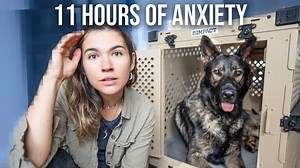 733K views · 29K reactions | A Stressful Goodbye to the USA (Flying My 100-Pound Dog) | Eva zu Beck | Facebook