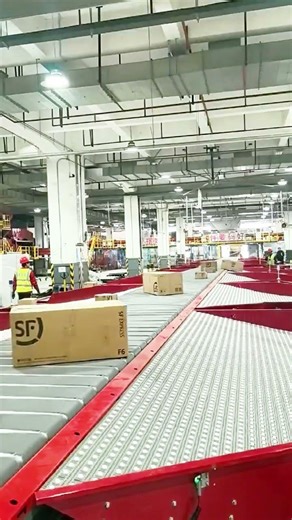 Realkey Narrow Belt Sorter: Efficient, Gentle & High-Speed Sorting#E-commerce #Sorter #logistics